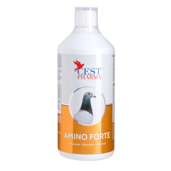 Amino Forte - 1000 ml